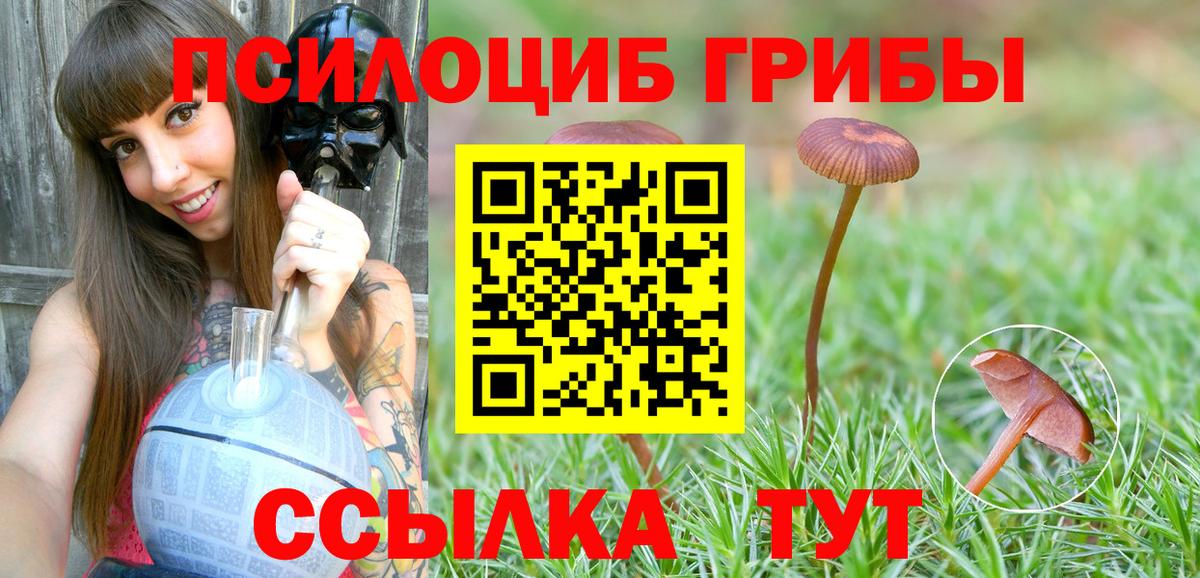 Жуковский  Галлюциногенные грибы GOLDEN TEACHER  Вход с VPN 